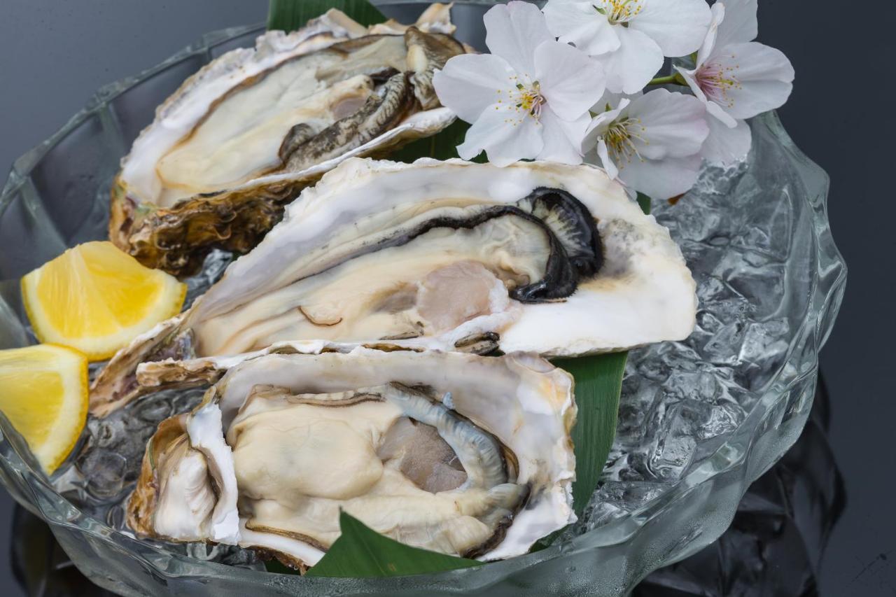 Hotel Oyo Ryokan Koijigahama Kuroshio Tahara Irago Zewnętrze zdjęcie